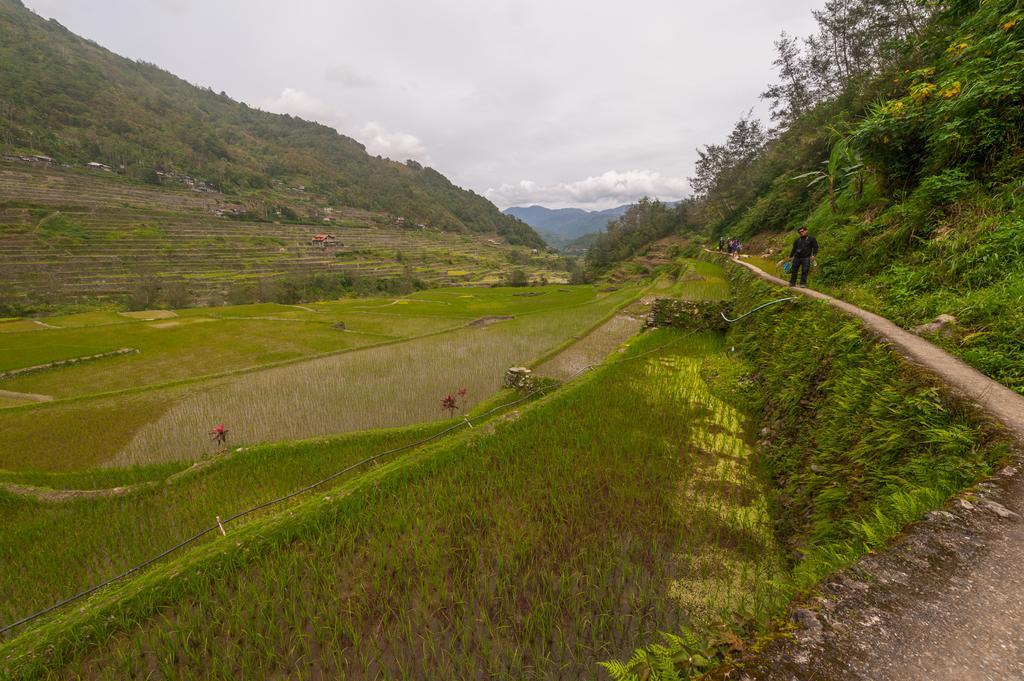 Rice Homestay Banaue Exterior foto